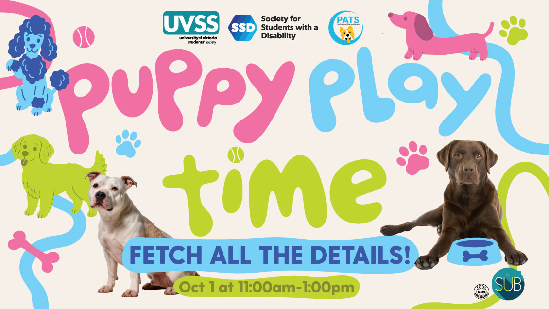 Puppy_Playtime_Webslider